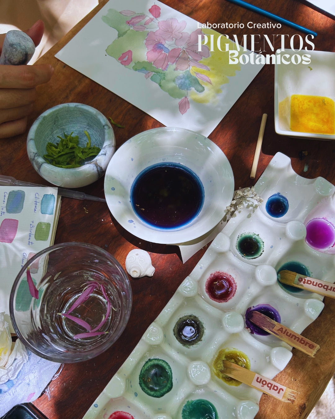 Taller de Pigmentos Botánicos