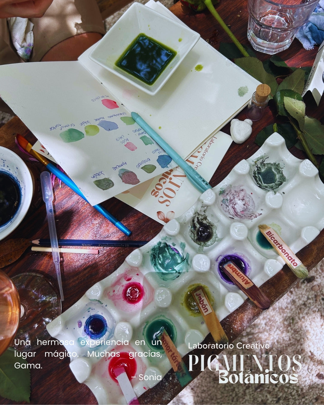 Taller de Pigmentos Botánicos