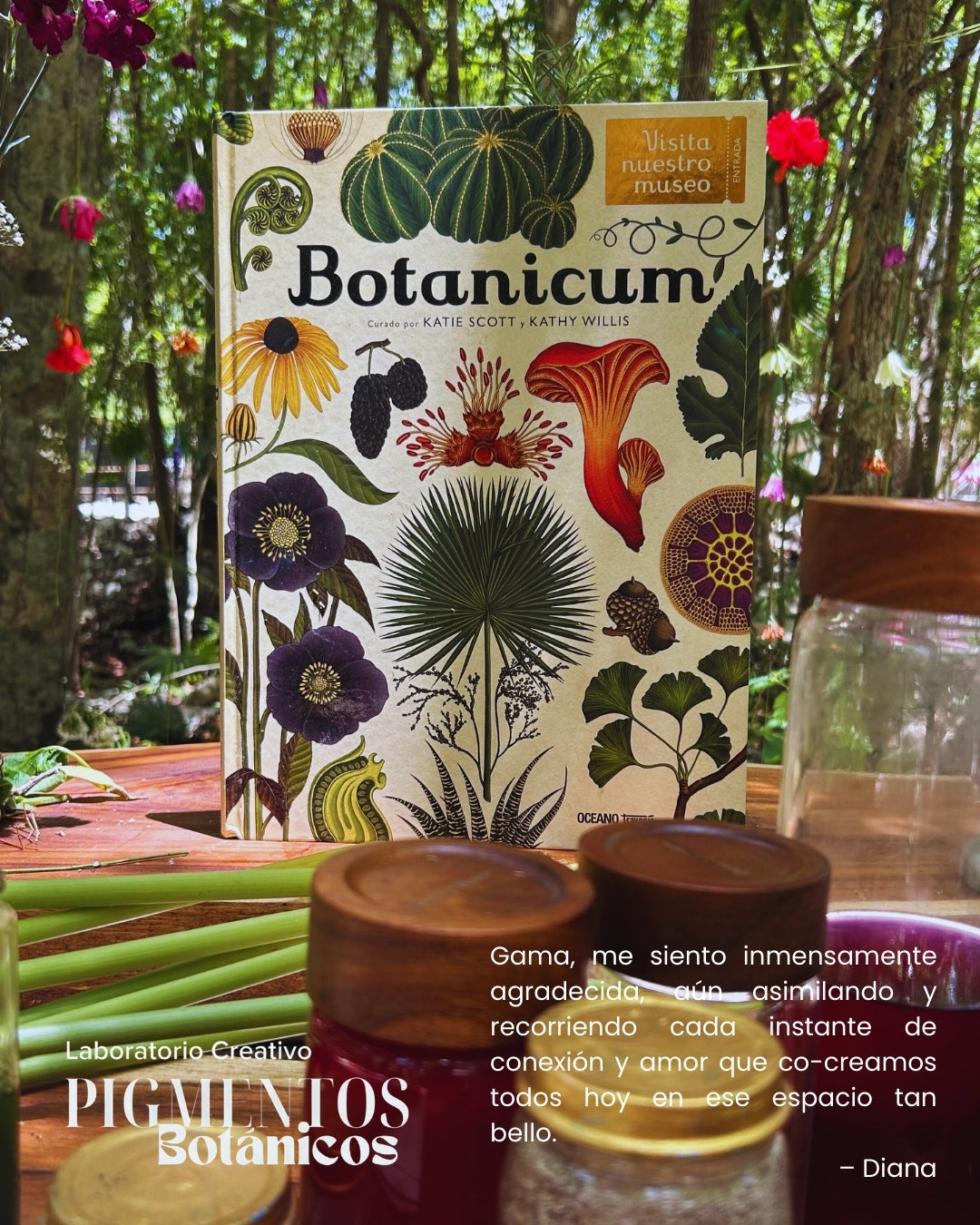 Taller de Pigmentos Botánicos