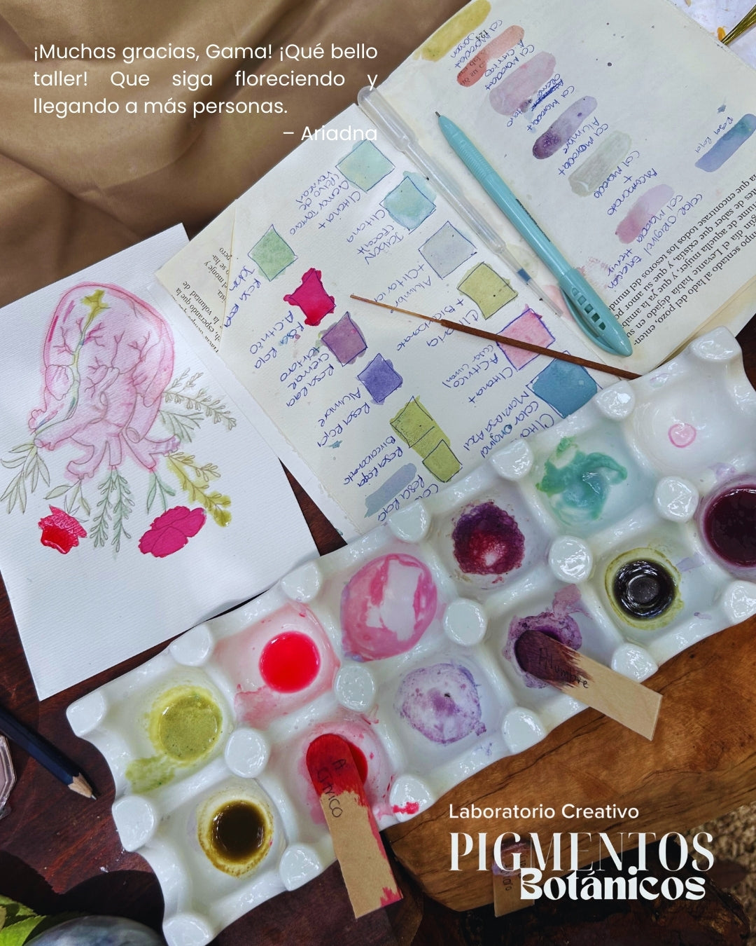 Taller de Pigmentos Botánicos