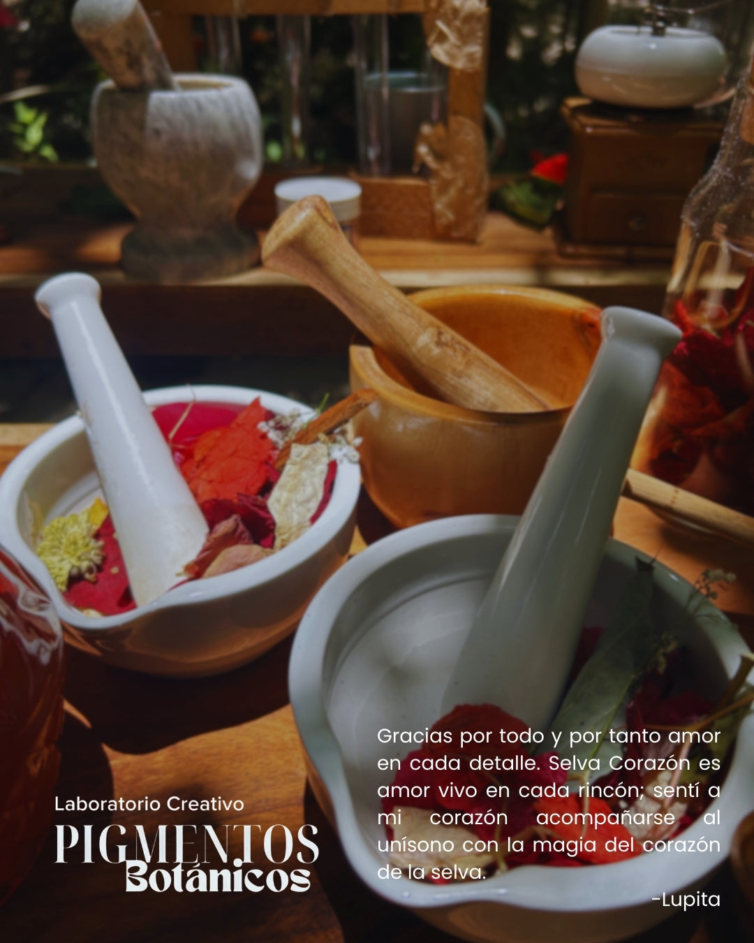 Taller de Pigmentos Botánicos