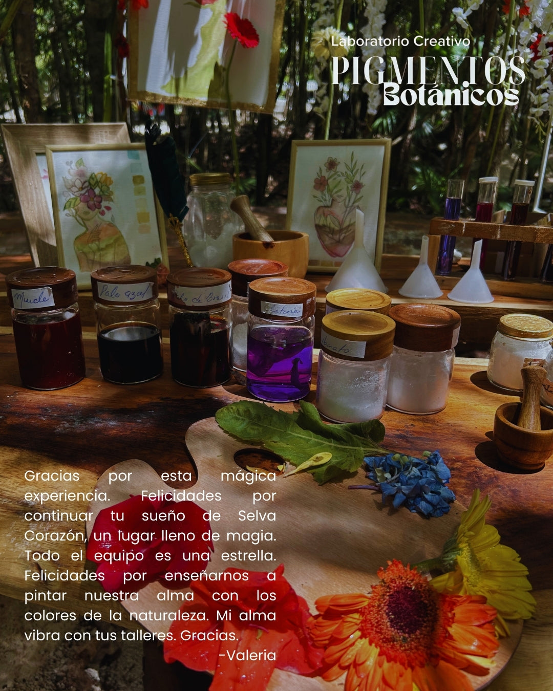 Taller de Pigmentos Botánicos