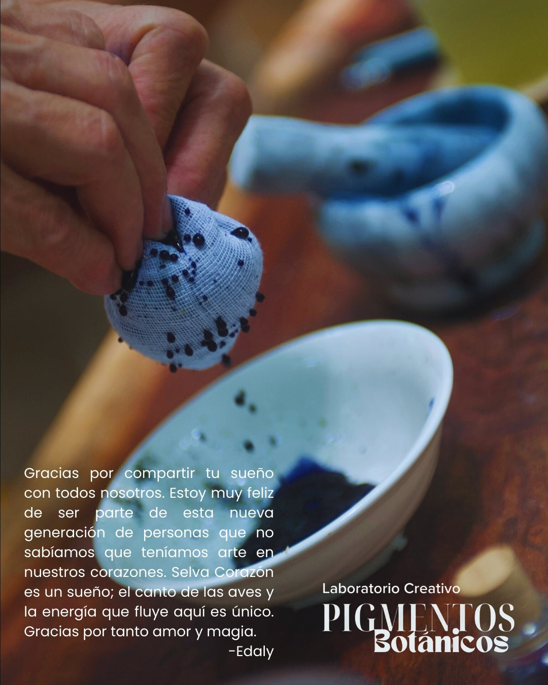 Taller de Pigmentos Botánicos