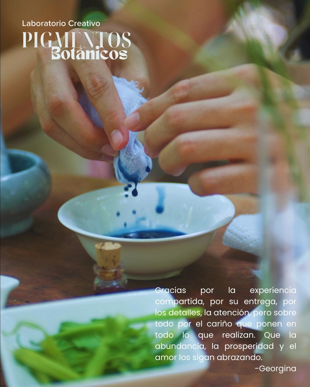 Taller de Pigmentos Botánicos