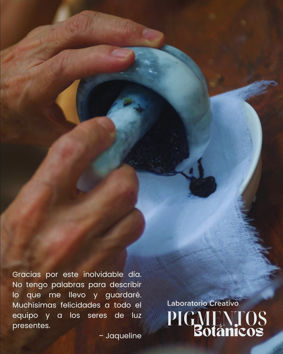 Taller de Pigmentos Botánicos