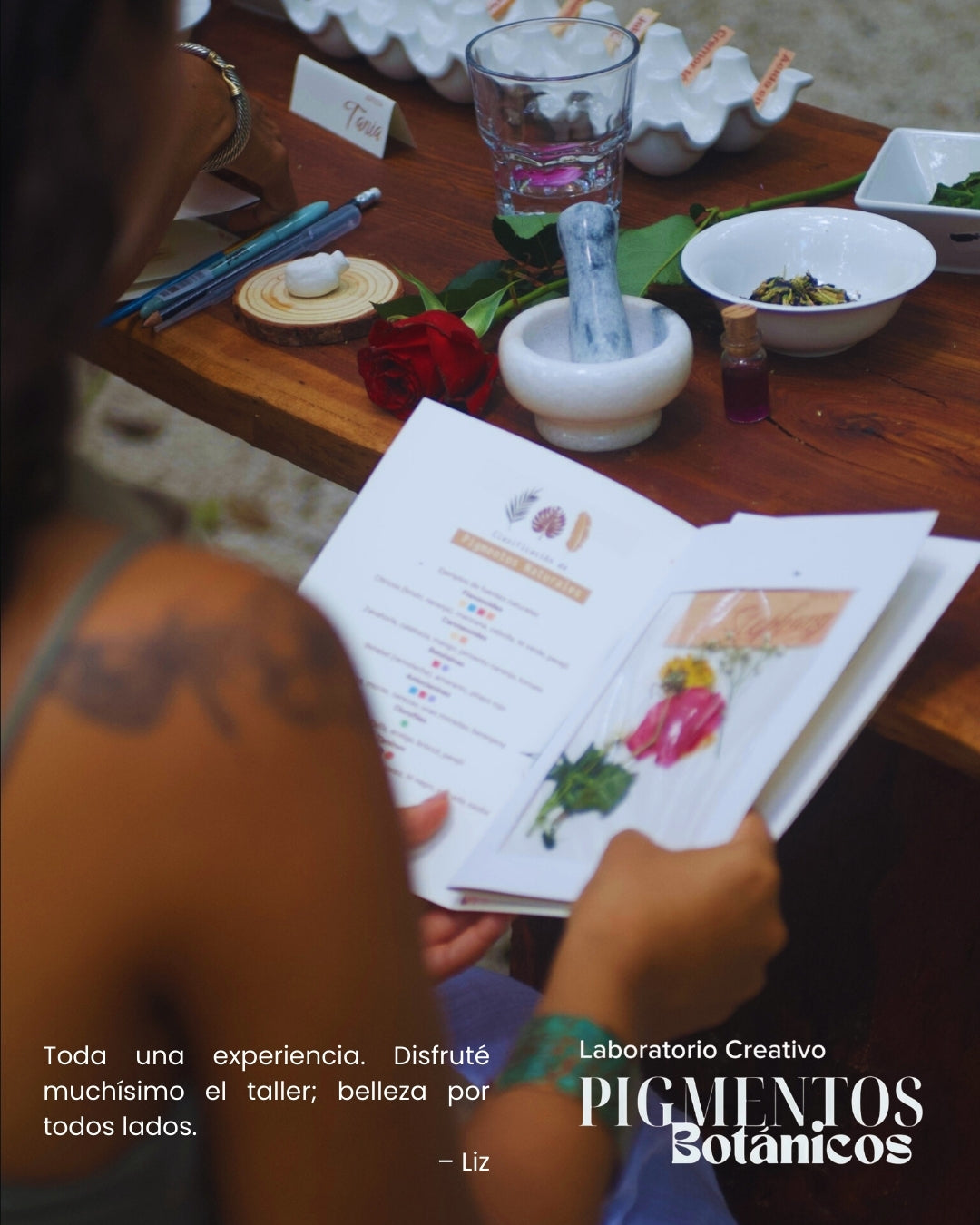 Taller de Pigmentos Botánicos