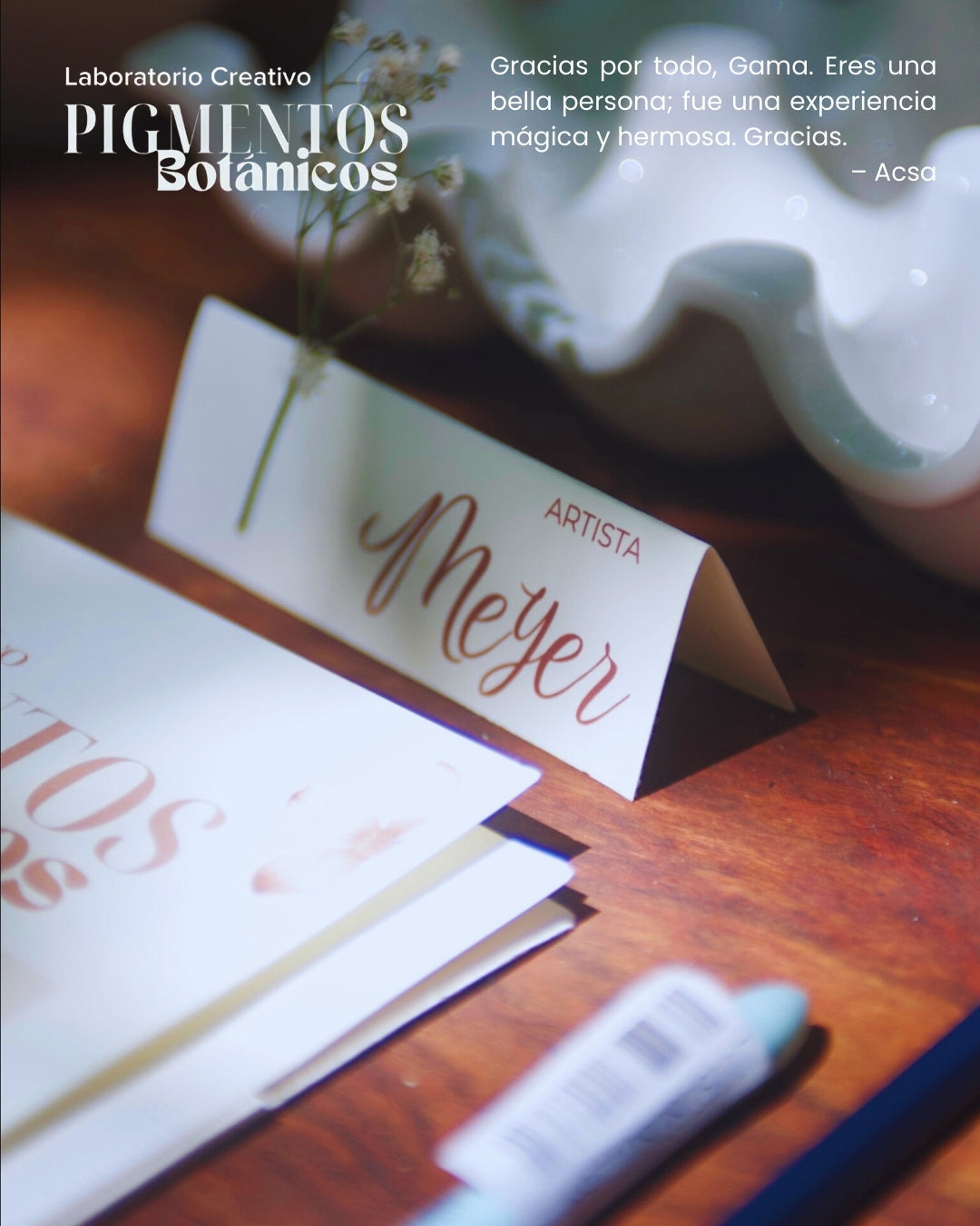 Taller de Pigmentos Botánicos